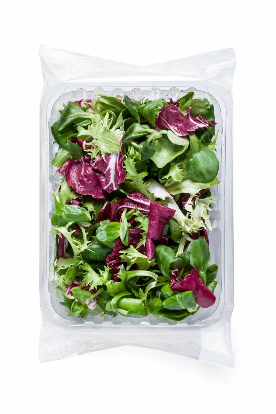 Listeria: le precauzioni da prendere per essere tranquilli