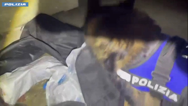 3,5 chili di droga nascosti nel garage dello zio della fidanzata, ventisettenne arrestato dalla Polizia di Stato