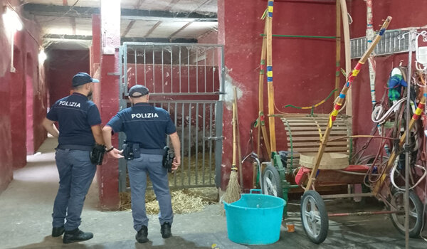 Task force della Polizia di Stato per contrastare le corse clandestine, scoperte 6 stalle abusive a San Cristoforo, sanzioni per 17 mila euro