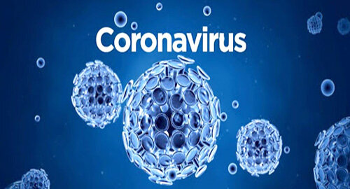 Un derivato fisiologico del colesterolo blocca il virus della Covid-19