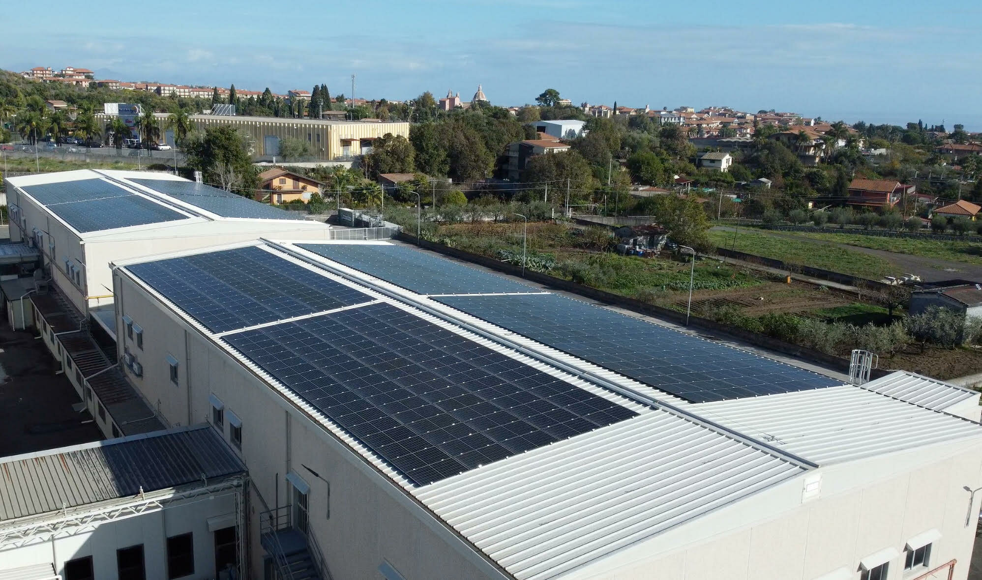 Produzione sostenibile. Il caso della siciliana Pasticceria Tomarchio