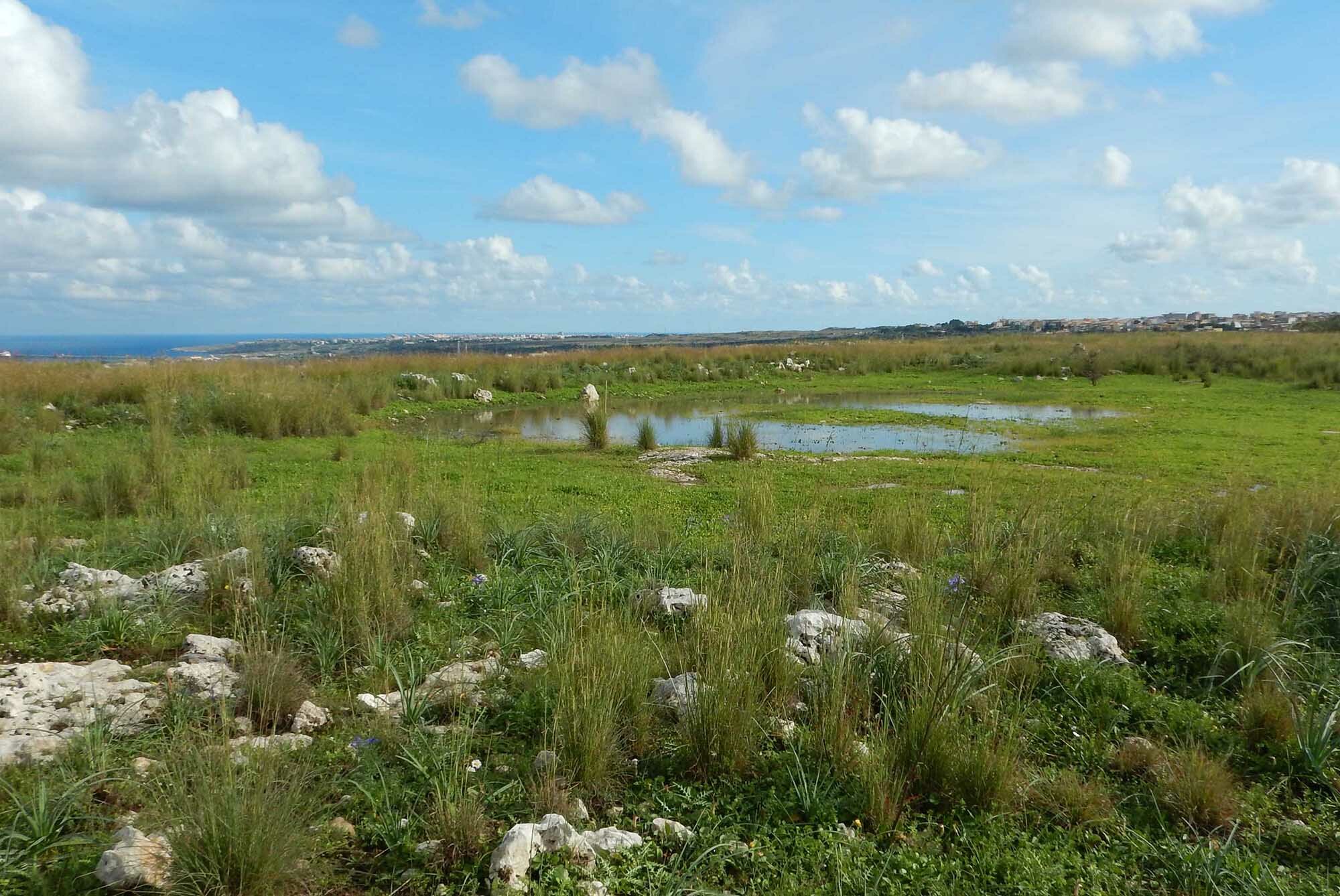 Il Cutgana celebra i 50 anni della Convenzione di Ramsar sulle zone umide