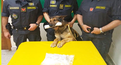 Arrestato dalla Guardia di Finanza corriere all’uscita del casello autostradale di Fiumefreddo, sequestrato mezzo chilo di cocaina Arrestato dalla Guardia di Finanza corriere all’uscita del casello autostradale di Fiumefreddo, sequestrato mezzo chilo di cocaina