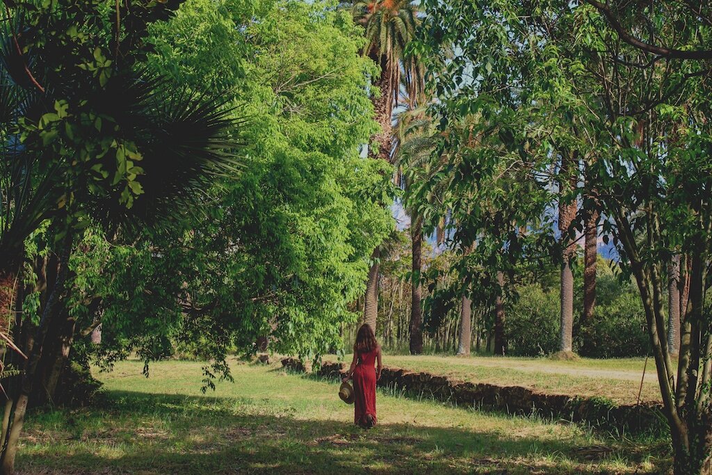 Un parco agri-culturale e inclusivo nel cuore di Palermo. Nasce il progetto &ldquo;Parco di Villa Tasca&rdquo;