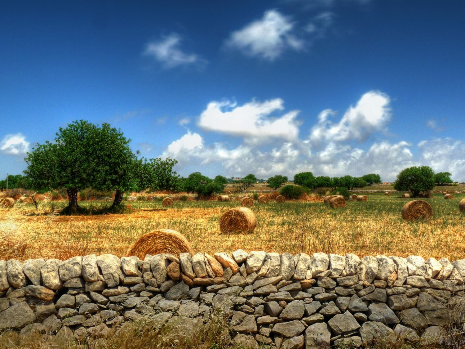 "GAL Terre Barocche", numerose le idee progettuali per lo sviluppo di Scicli