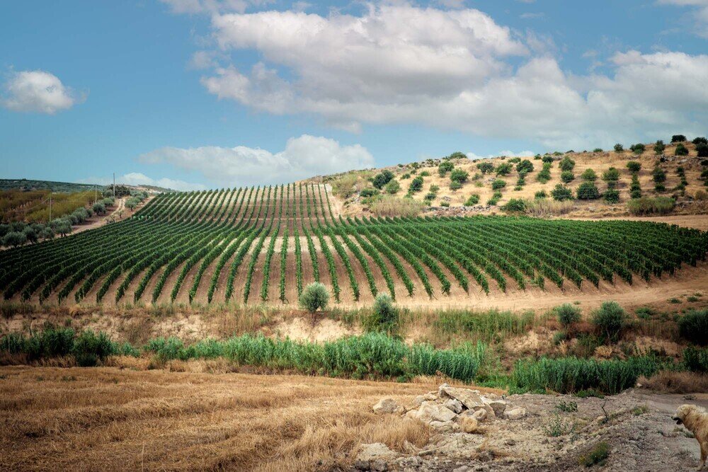 Tenute Navarra, alla decima edizione del Taormina Gourmet