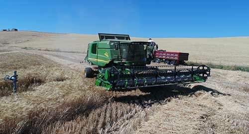 Mobilitazione di CIA Sicilia Orientale a difesa e tutela del reddito degli agricoltori