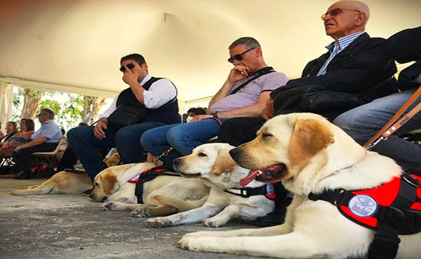 Uici, il 27 ottobre Giornata del Cane guida a Catania per far rispettare la legge
