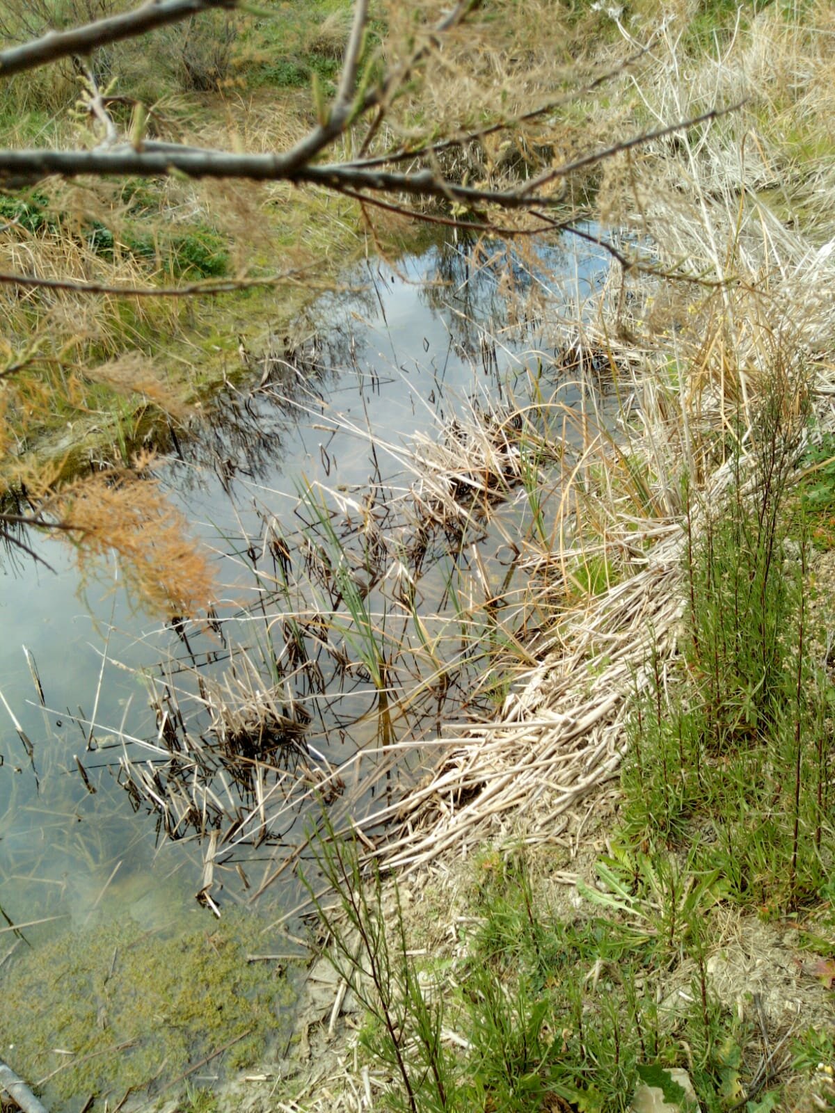 Allarme siccit&agrave;, quadro preoccupante per l&rsquo;agricoltura, gennaio e febbraio mai cos&igrave; secchi negli ultimi 100 anni