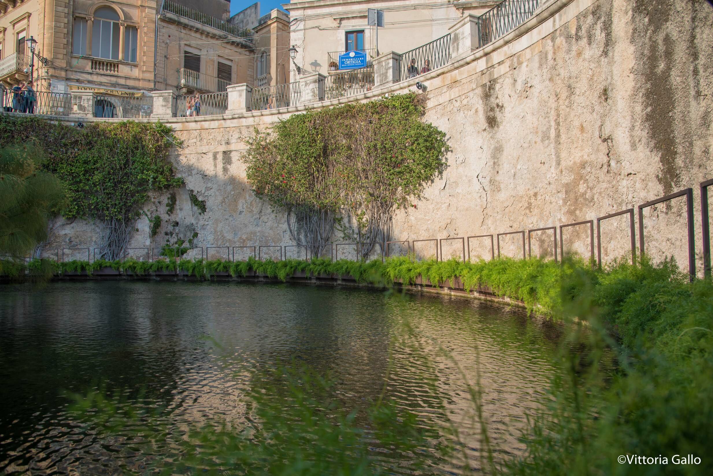 A Siracusa visite alla Fonte Aretusa guidati dalla voce di Isabella Ragonese A Siracusa visite alla Fonte Aretusa guidati dalla voce di Isabella Ragonese