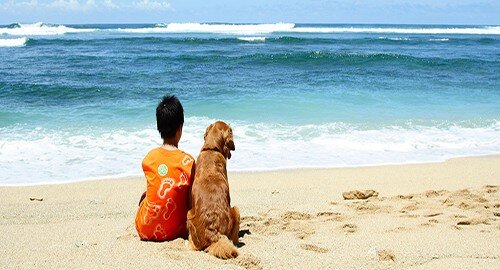 Giornata internazionale del cane: i consigli per stare in forma con l&rsquo;amico a quattro zampe
