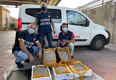 Dal 20 al 30 settembre Operazione "Under Size" della Guardia Costiera