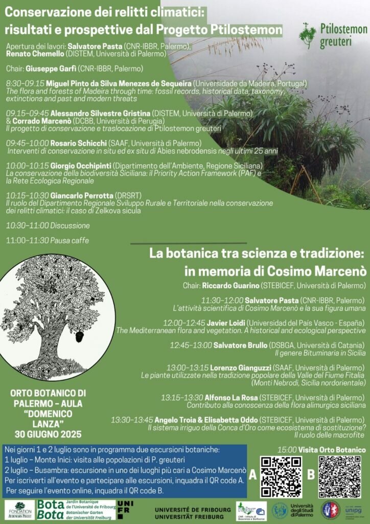convegno-30-06-25-724x1024-34815180.jpg