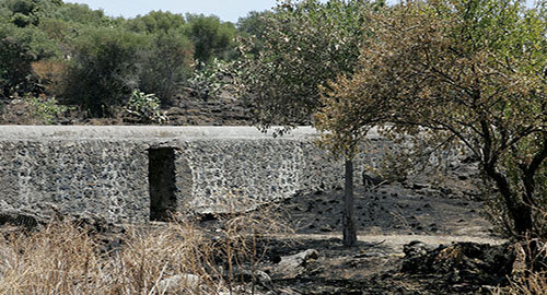 Rischio incendi a Catania, il quartiere San Nullo ha gi&agrave; visto andare in fumo gran parte del Parco degli Ulivi, le richieste del consigliere Anastasi