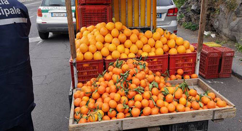 Cia Sicilia Orientale chiede al Governo regionale sostegno all&rsquo;agrumicoltura
