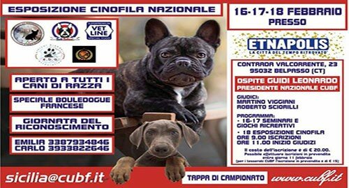 Ad "Etnapolis" dal 16 al 18 Febbraio cani protagonisti, tre giorni dedicati alle loro esigenze
