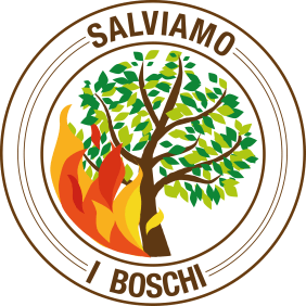 boschi-143520099.png