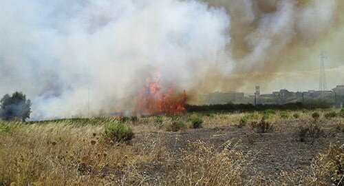 "Intervenire subito nelle zone a rischio incendi", la richiesta del presidente della Commissione al Patrimonio Salvatore Tomarchio