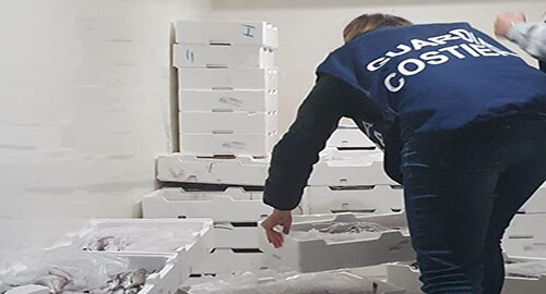 Controlli e contrasto della Capitaneria di porto - Guardia Costiera al commercio illegale di prodotti ittici Controlli e contrasto della Capitaneria di porto - Guardia Costiera al commercio illegale di prodotti ittici