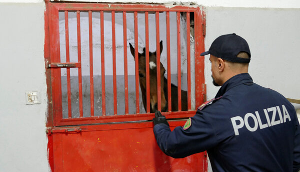 Blitz della Polizia nel quartiere San Cristoforo, sequestrate stalle e cavalli usati per le corse clandestine