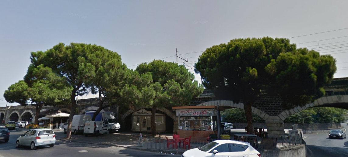 Ambiente, Free Green Sicilia denuncia il taglio immotivato di cinque storici pini a Catania