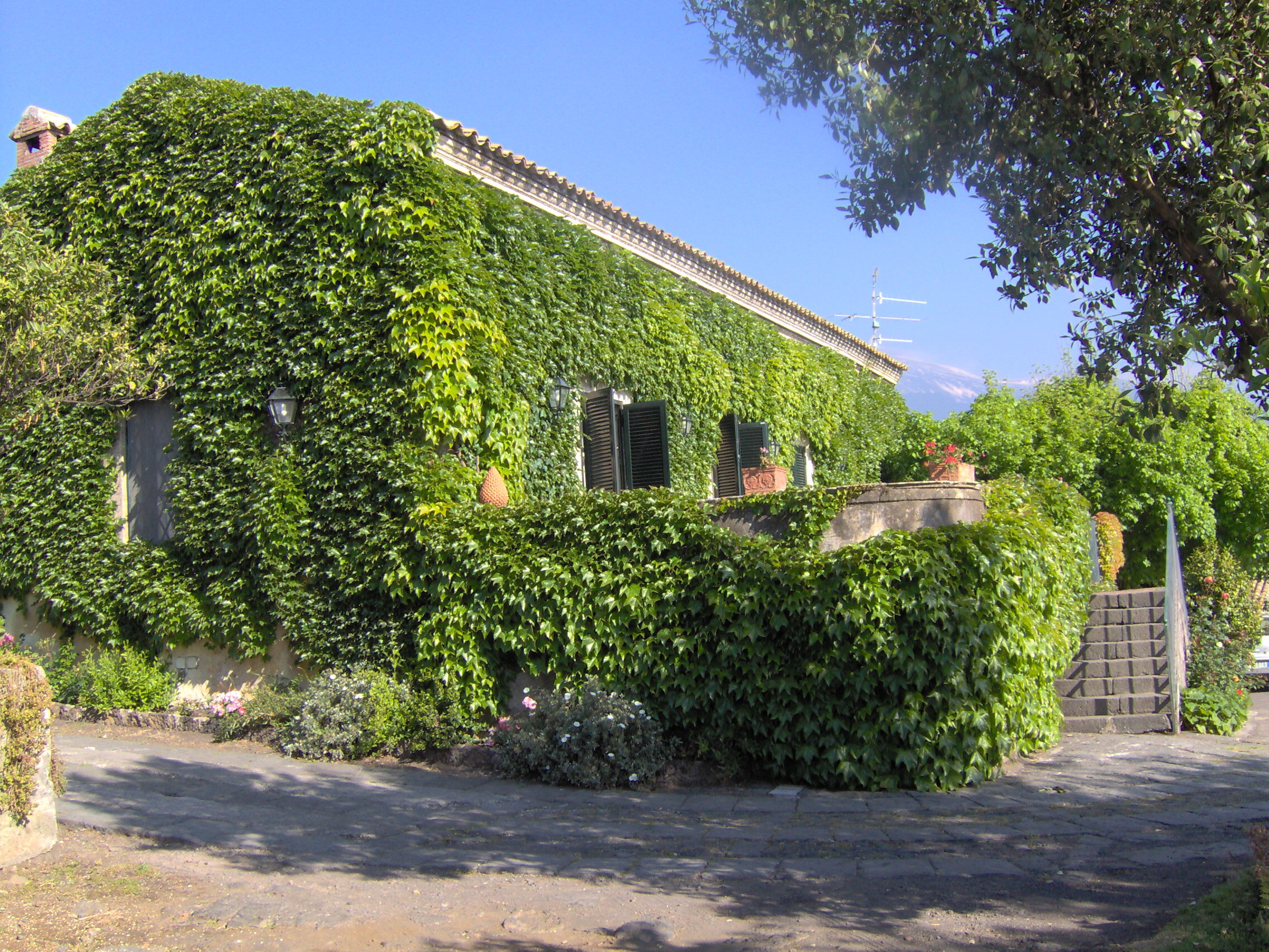 "Le declinazioni del Nerello Mascalese" il 26 febbraio azienda&nbsp;Tenute Mannino di Plachi