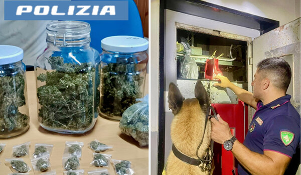 Scoperti numerosi nascondigli degli spacciatori, oltre 1500 dosi e 4 kg di stupefacenti sequestrati grazie ai cani della Polizia di Stato Scoperti numerosi nascondigli degli spacciatori, oltre 1500 dosi e 4 kg di stupefacenti sequestrati grazie ai cani della Polizia di Stato