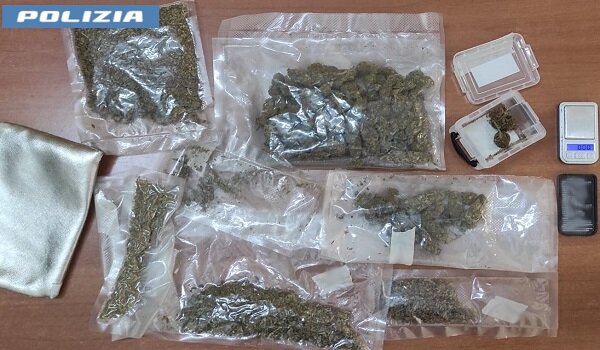 Contrasto allo spaccio di droga in città, trentaseienne arrestato dalla Polizia di Stato con quasi 200 grammi di marijuana in casa Contrasto allo spaccio di droga in città, trentaseienne arrestato dalla Polizia di Stato con quasi 200 grammi di marijuana in casa