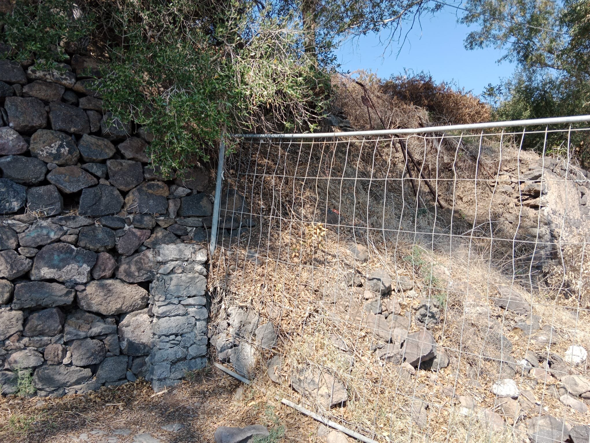 Acireale, Europa Verde: &ldquo;Beni comuni e naturalistici in stato di abbandono&rdquo;