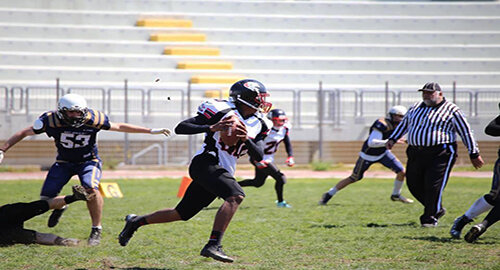 Football Americano, nei Play Off gli Elephants Catania sfidano i Predatori Chiavari