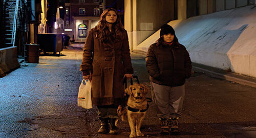 &ldquo;In the Dark&rdquo; dal 10 maggio su Rai4 la serie investigativa prodotta da Ben Stiller