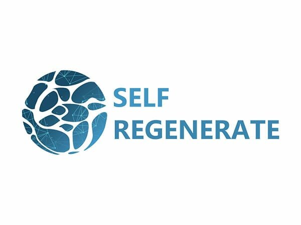 Inglese e competenze imprenditoriali a scuola per creare lavoro: a Catania sperimentazione del progetto europeo Self-Regenerate