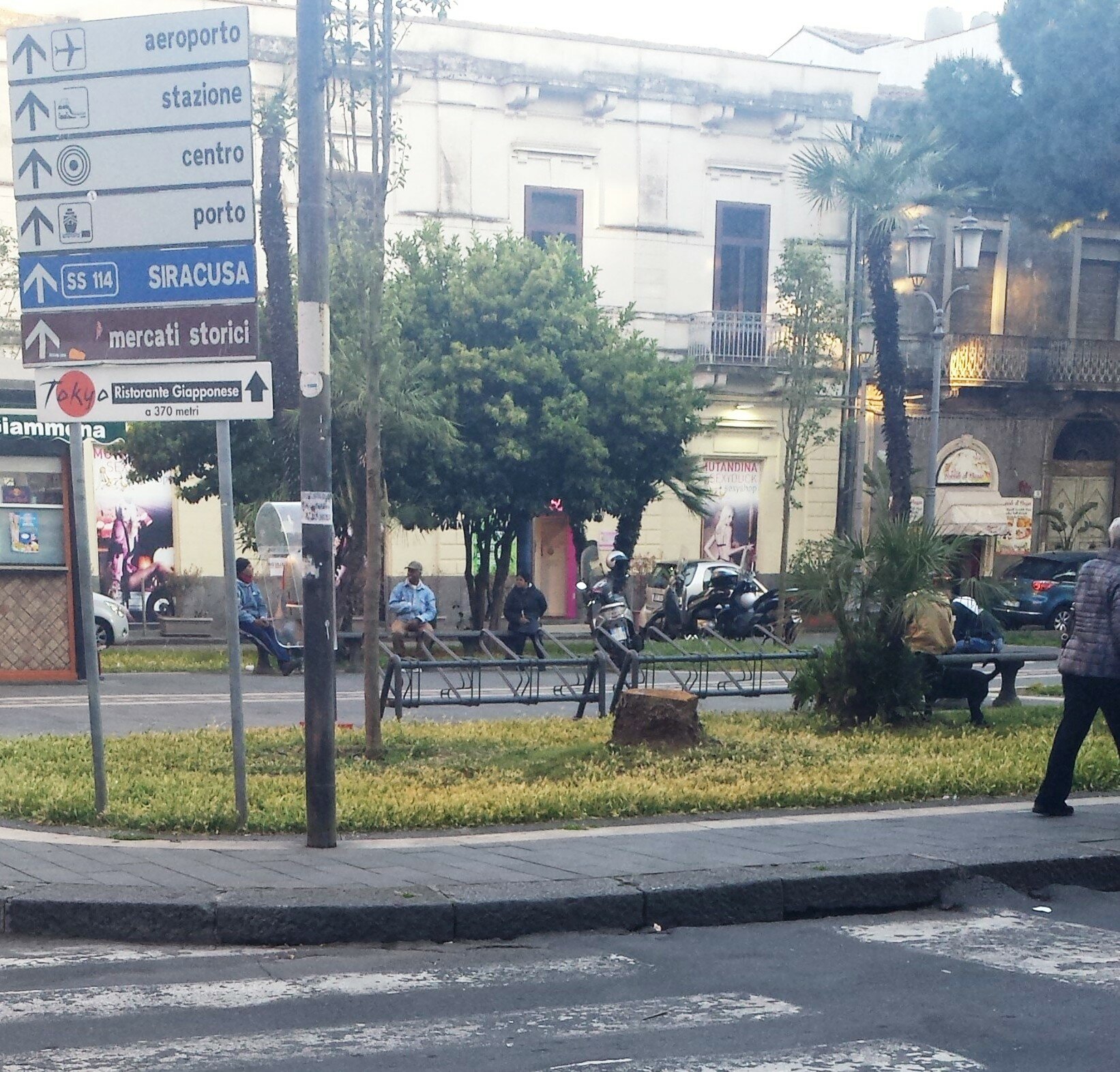 Free Green Sicilia denuncia il taglio ingiustificato delle palme di piazza Iolanda