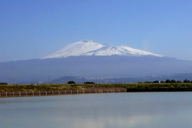Consorzio Bonifica Catania, Cia e Confagricoltura, &ldquo; rischio collasso, Cracolici blocchi l&rsquo;aumento dei ruoli e riordini il sistema"