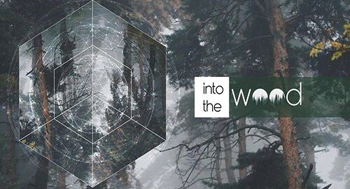 A Soverato "Into the wood", racconto tra suggestioni, arte contemporanea e musica