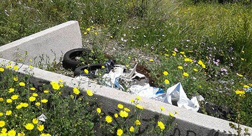 Al Parco degli Ulivi, a San Nullo, problemi di sicurezza e decoro, la denuncia del consigliere di circoscrizione Erio Buceti