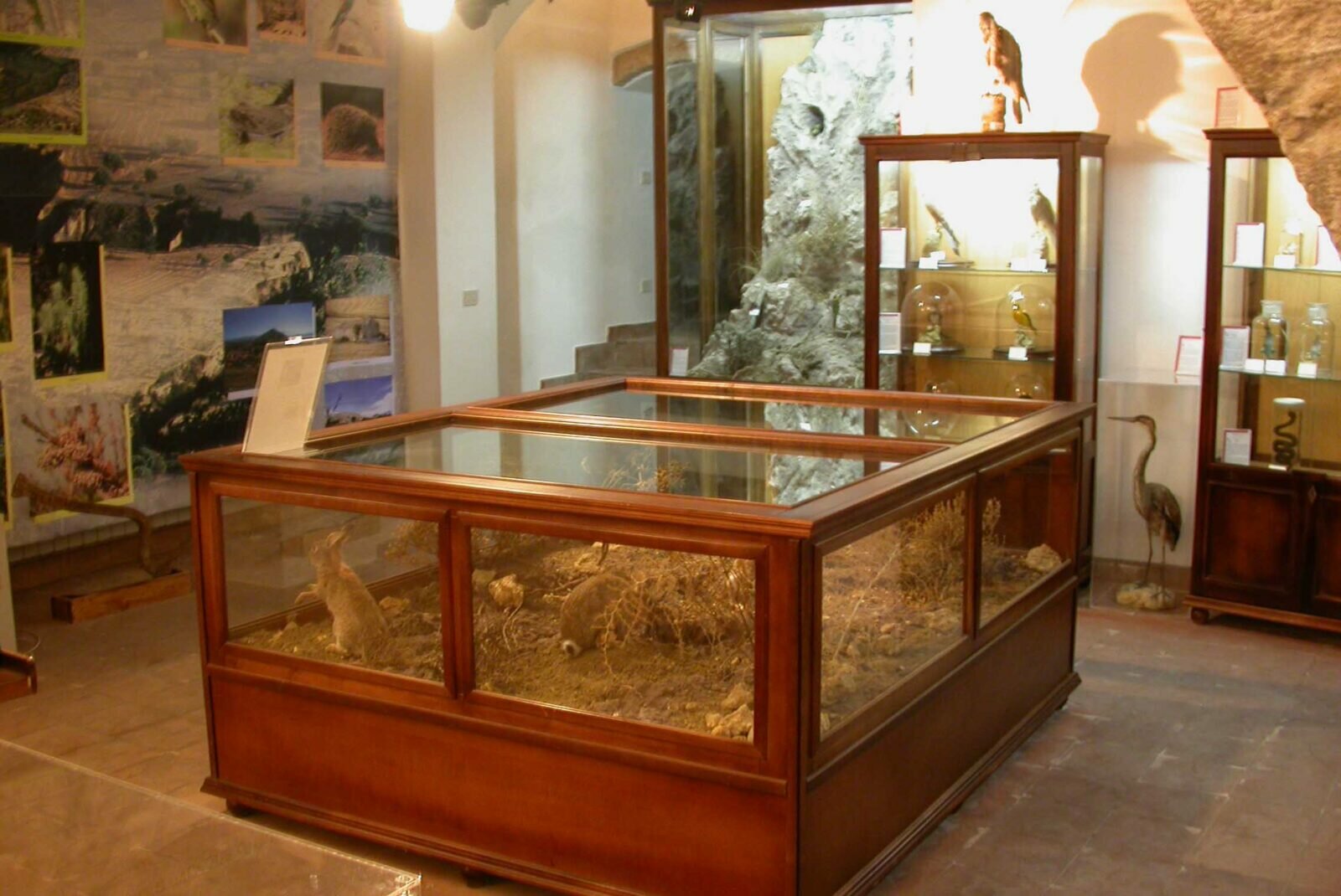 “Enjoy Museum”, ad Agira il 29 maggio al Museo naturalistico “Diodoro Siculo” organizzata dal centro di ricerca Cutgana “Enjoy Museum”, ad Agira il 29 maggio al Museo naturalistico “Diodoro Siculo” organizzata dal centro di ricerca Cutgana