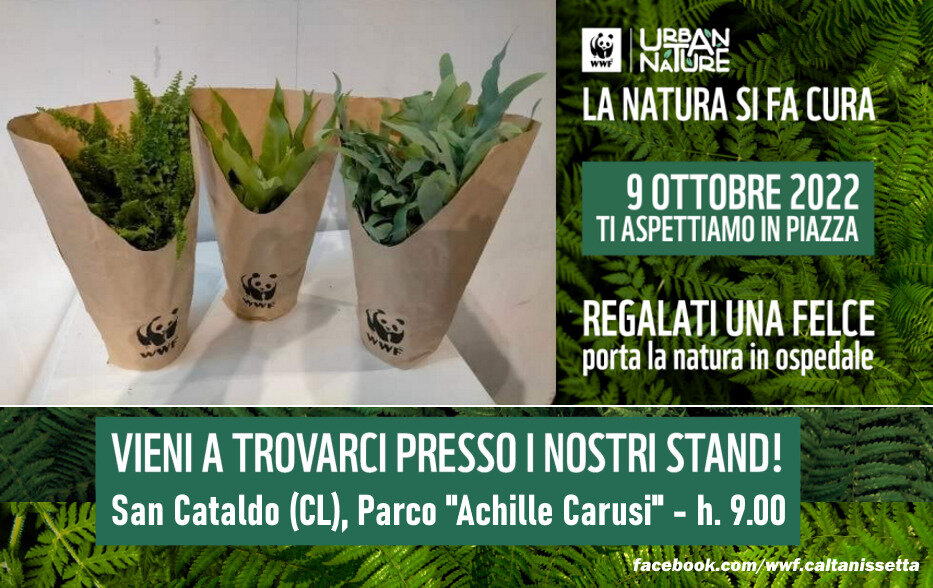 &ldquo;Urban Nature: la festa della Natura in citt&agrave;&rdquo; il 9 ottobre a San Cataldo