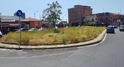 Cura del verde e caditoie da ripulire in via Maestri del Lavoro nel IV Municipio