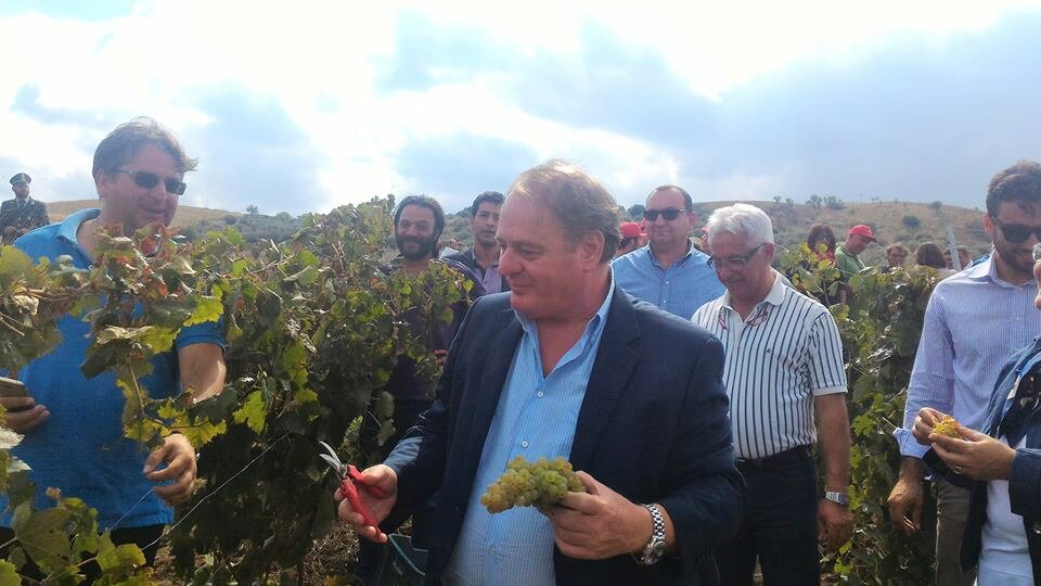 Vendemmia della legalit&agrave; nelle terre confiscate alla mafia. Cracolici: &rdquo;a Verbumcaudo lo Stato ha riconquistato il suo spazio&rdquo;