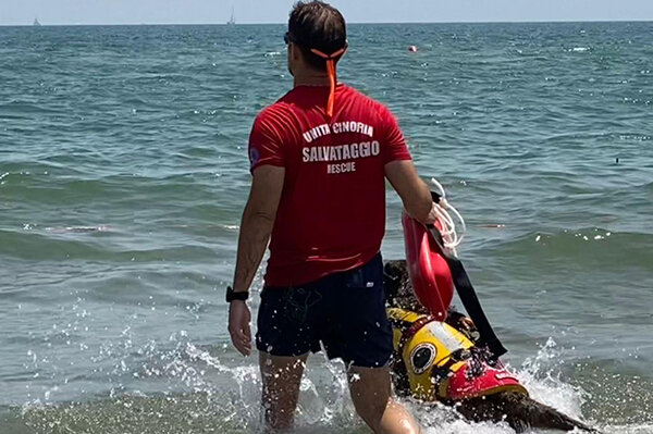Spiaggia libera 3, domani presentazione attivit&agrave; di prevenzione, controllo e sicurezza in mare con unit&agrave; cinofile