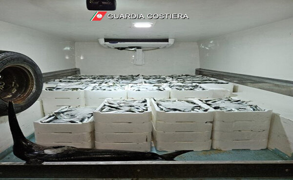 Operazione complessa della Guardia Costiera della Sicilia orientale, controlli sulla filiera della pesca Operazione complessa della Guardia Costiera della Sicilia orientale, controlli sulla filiera della pesca