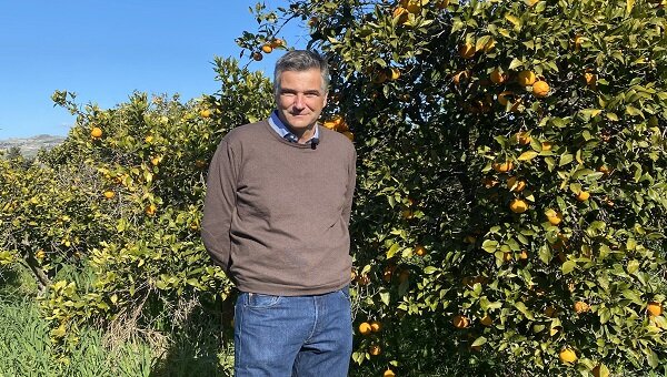 Al via il 29 dicembre la stagione dell&rsquo;Arancia Rossa di Sicilia IGP, presidente Diana: "Grande abbondanza di frutti e di qualit&agrave;"