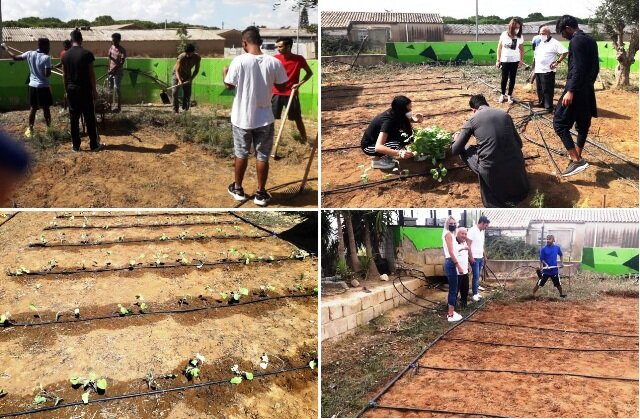 Agricoltura sostenibile a Caltagirone con il progetto &ldquo;Grow Your Future&rdquo;