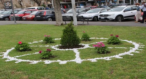 Stamattina cerimonia per la posa di nuove piante e cura del verde in piazza Cavour