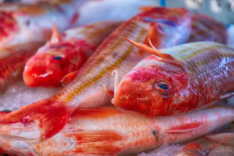 Federconsumatori a "Gioiosa Gustosa" per il pesce sostenibile dal 29 al 31 luglio