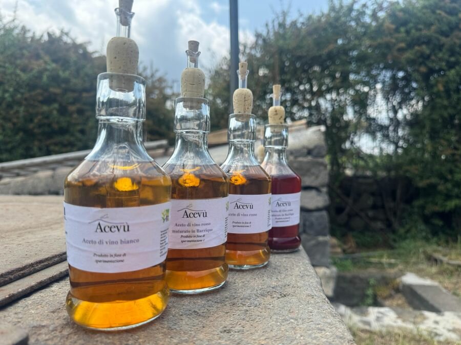ACEVU&rsquo;, nasce il primo aceto biologico vulcanico dell&rsquo;Etna