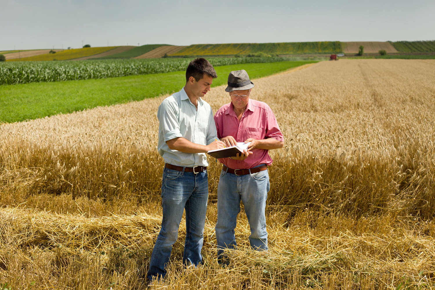 Agricoltura: Federconsumatori Sicilia ospite della Commissione Attivit&agrave; Produttive