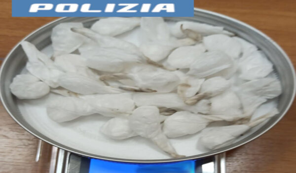 Controllo del territorio della Polizia di Stato ad Acireale, rinvenute 30 dosi di cocaina