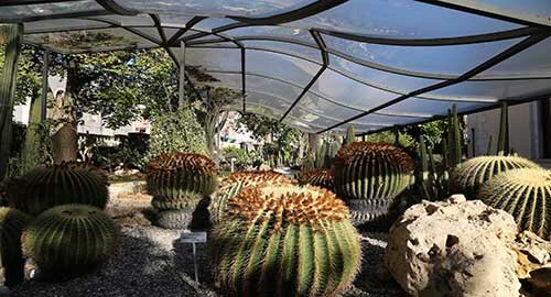 L&rsquo;Orto Botanico etneo riapre dal 5 luglio le porte ai visitatori